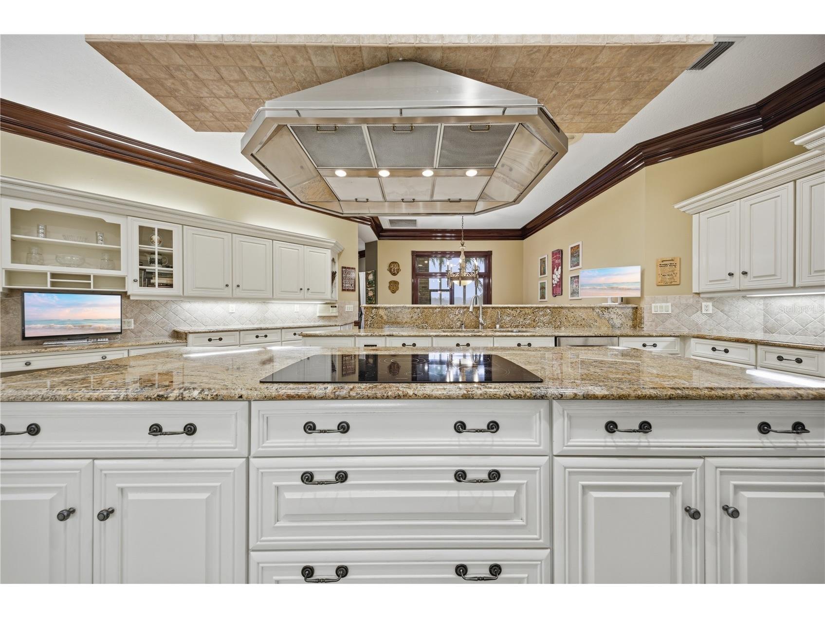 4123 Highland Park Circle Lutz FL 33558 TB8512226 image22