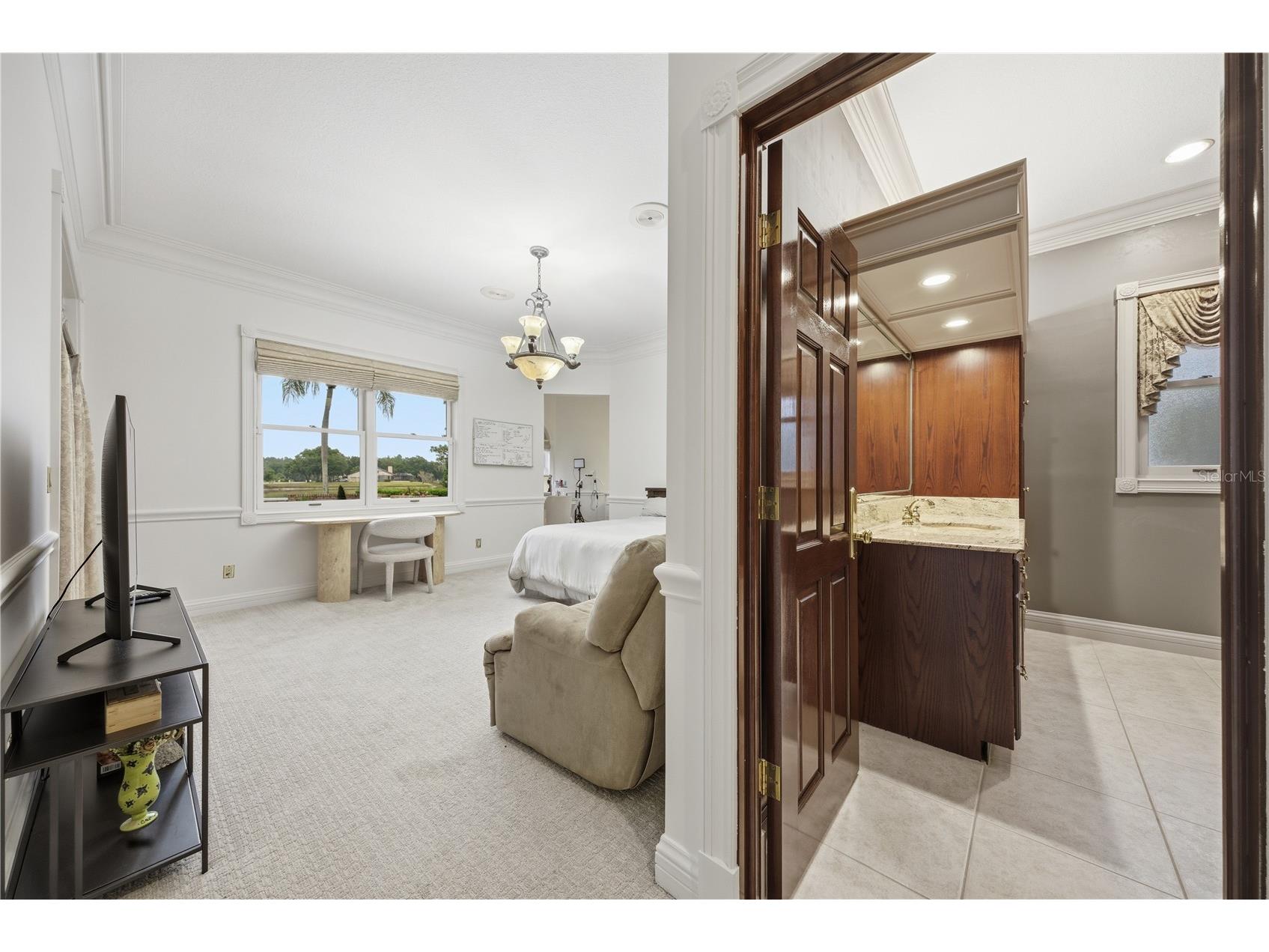 4123 Highland Park Circle Lutz FL 33558 TB8512226 image37