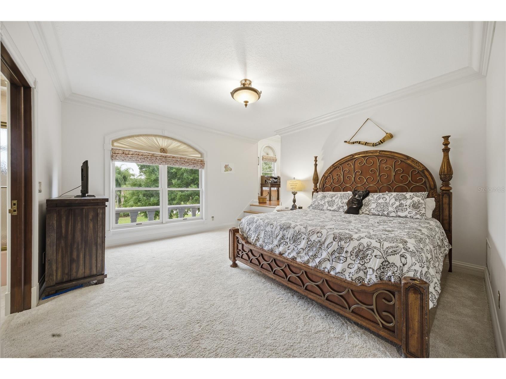 4123 Highland Park Circle Lutz FL 33558 TB8512226 image41