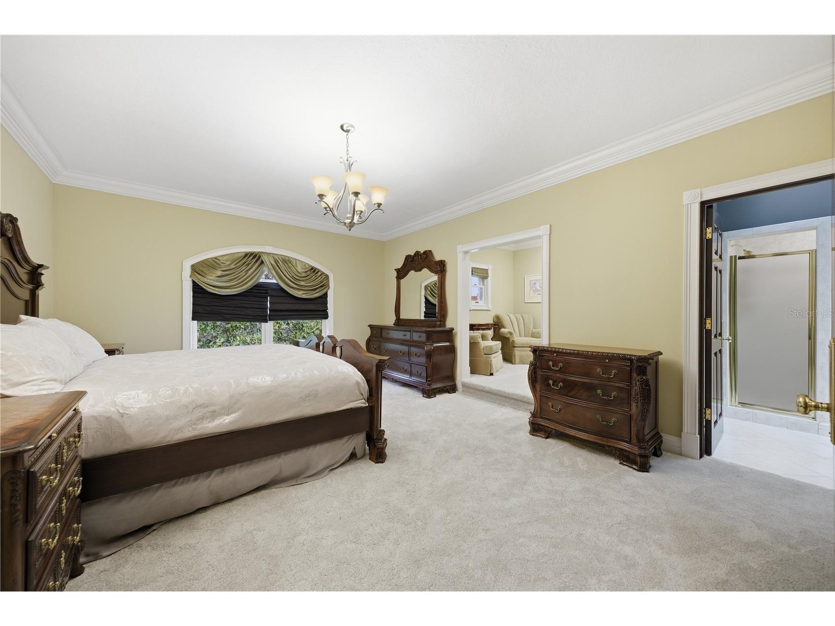 4123 Highland Park Circle Lutz FL 33558 TB8512226 image43