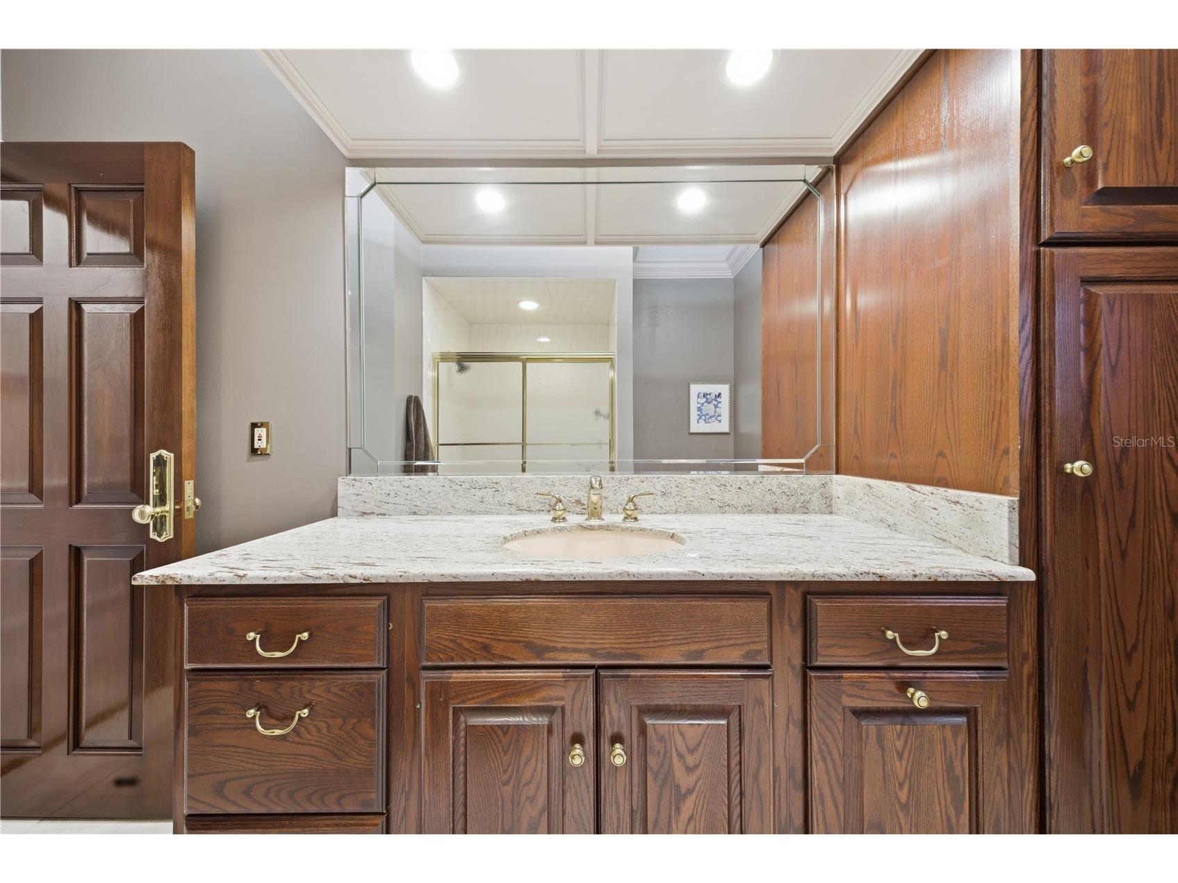 4123 Highland Park Circle Lutz FL 33558 TB8512226 image54