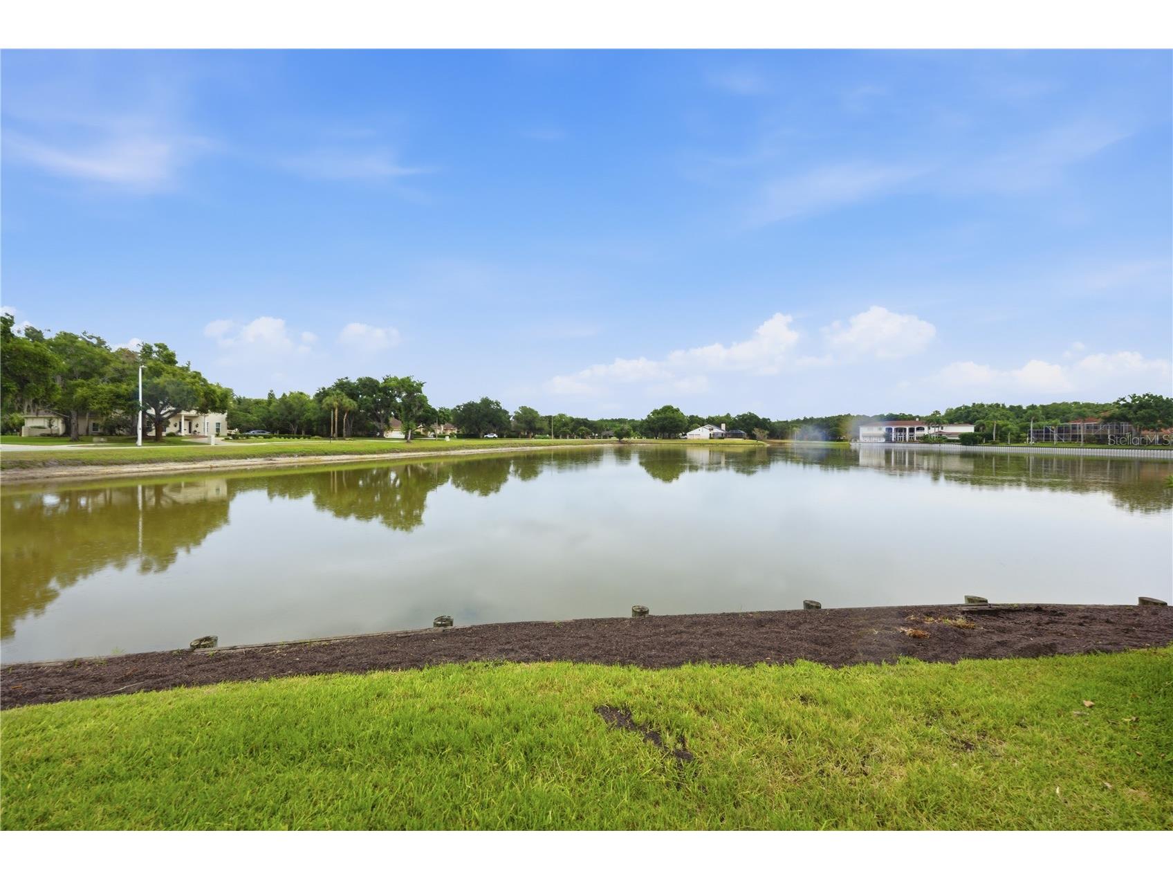 4123 Highland Park Circle Lutz FL 33558 TB8512226 image65