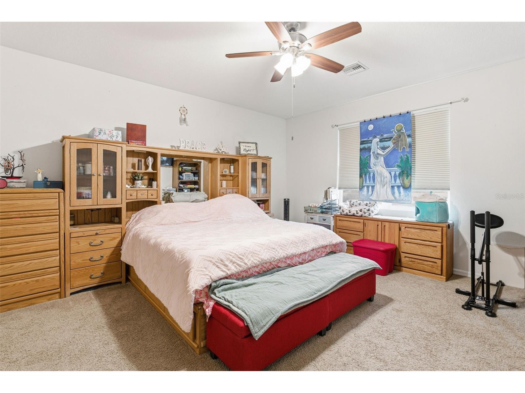 4123 Mossy Limb Court Palmetto FL 34221 A4684426 image23