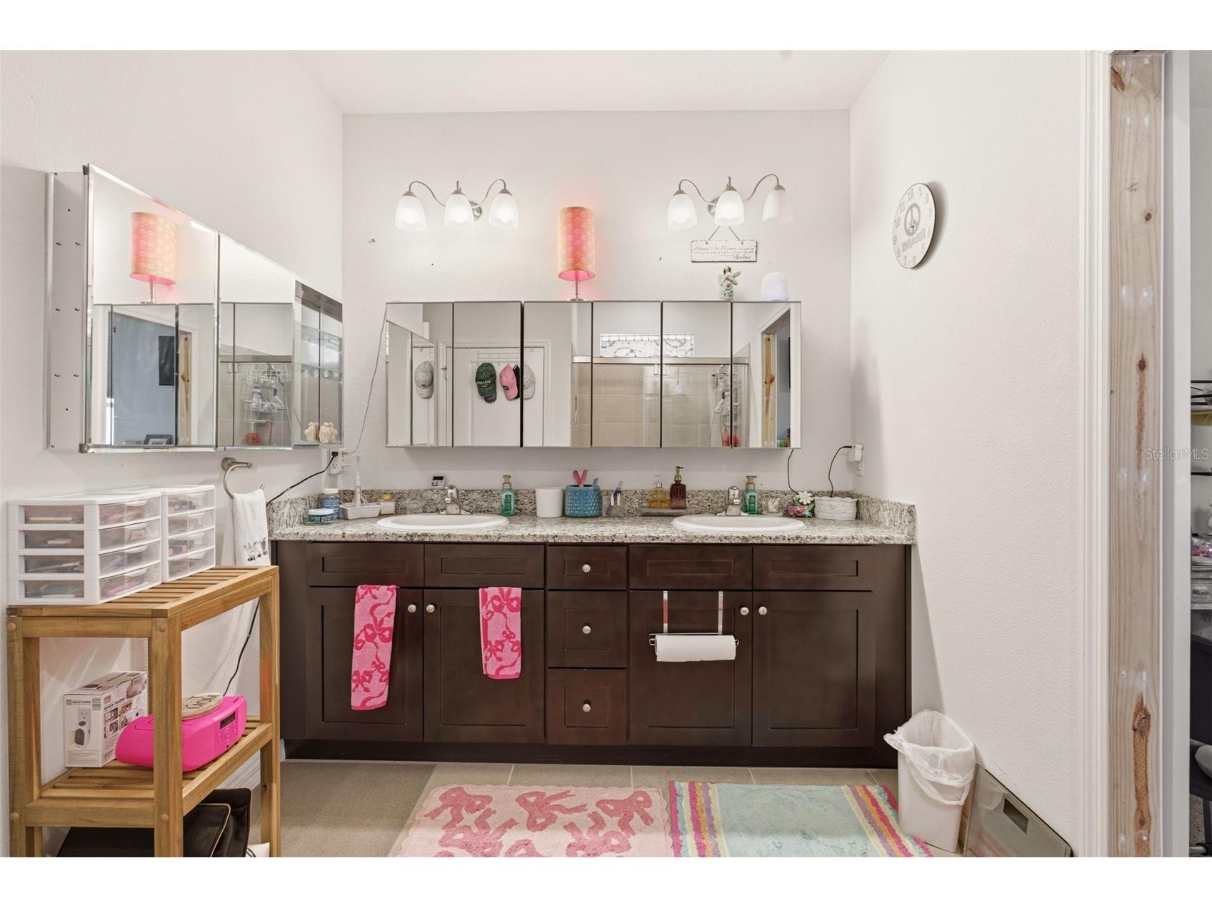 4123 Mossy Limb Court Palmetto FL 34221 A4684426 image25