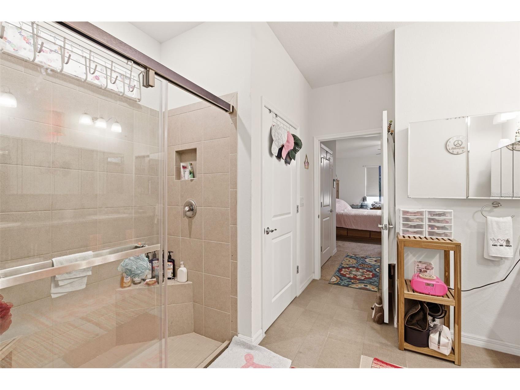 4123 Mossy Limb Court Palmetto FL 34221 A4684426 image26