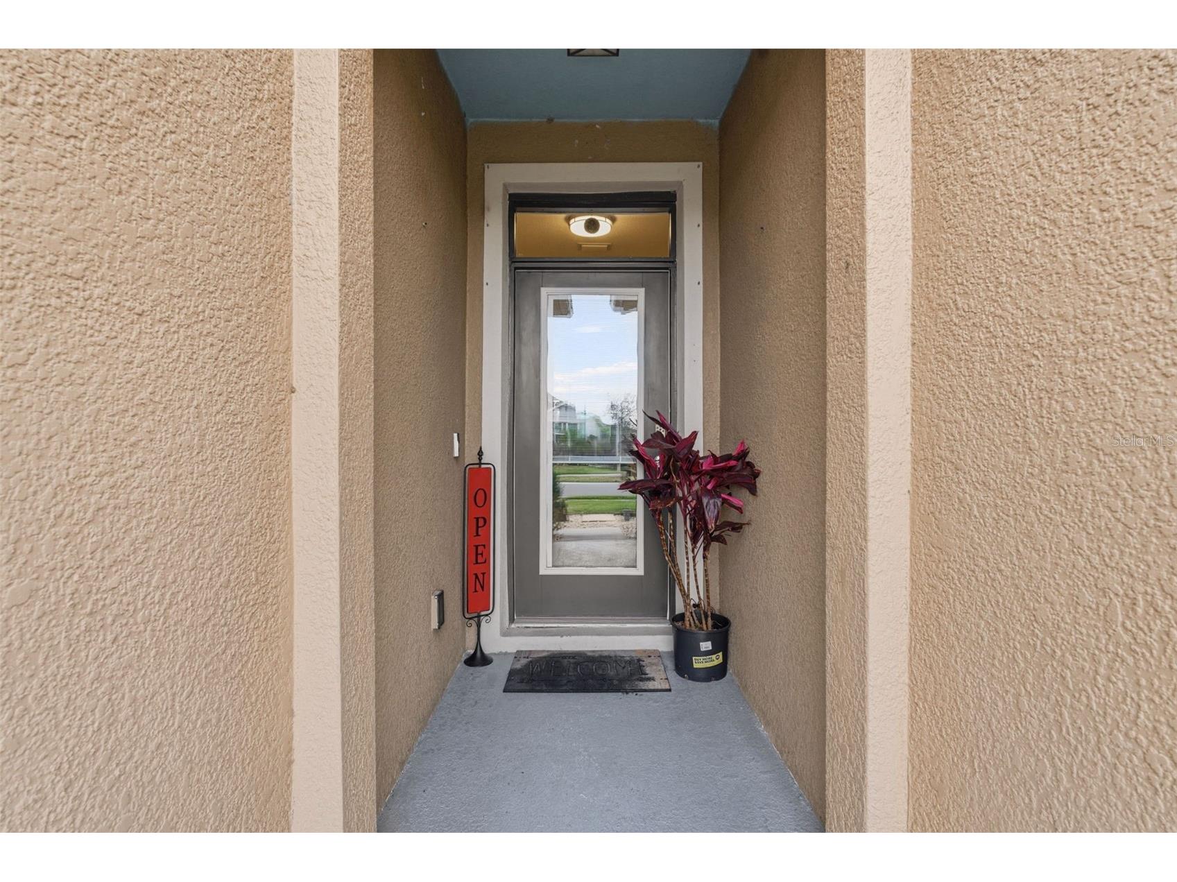 4123 Mossy Limb Court Palmetto FL 34221 A4684426 image5