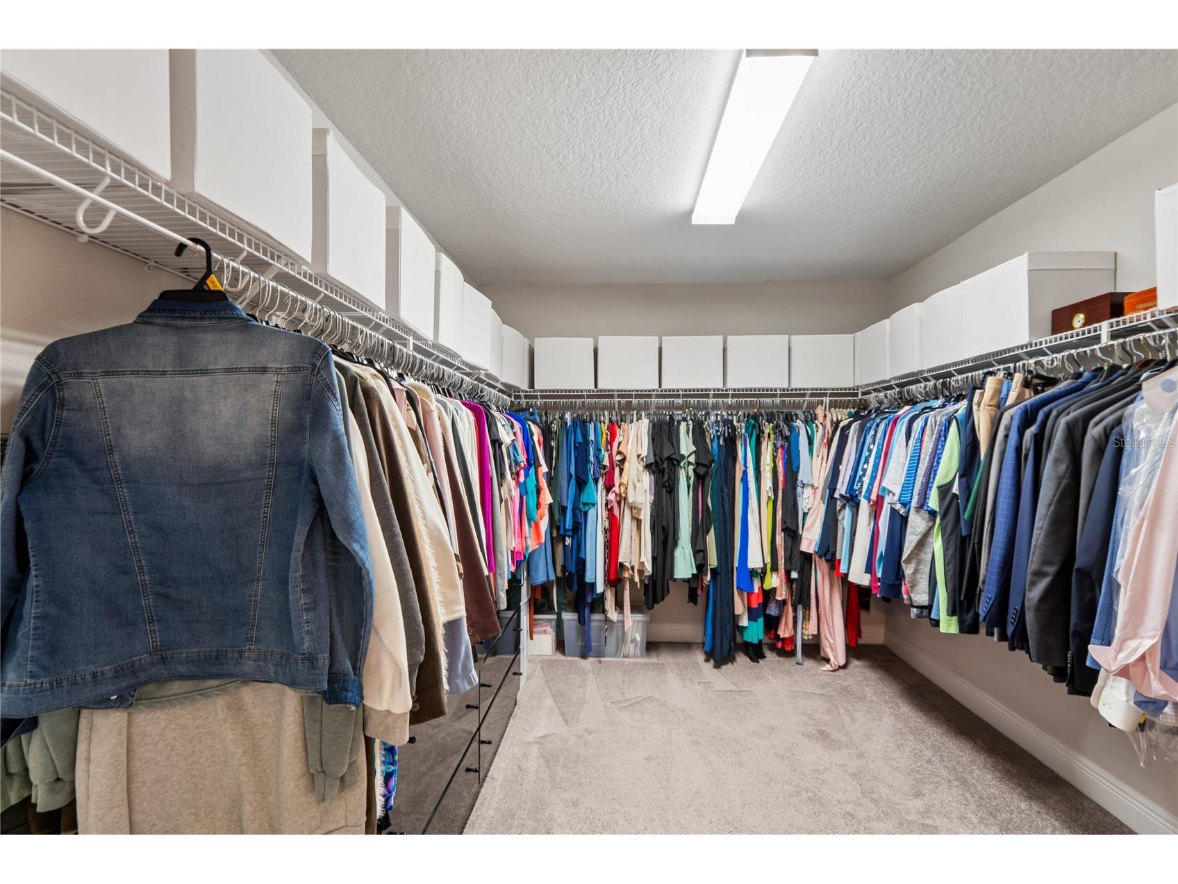 4124 Cadence Loop Land O Lakes FL 34638 W7883614 image30