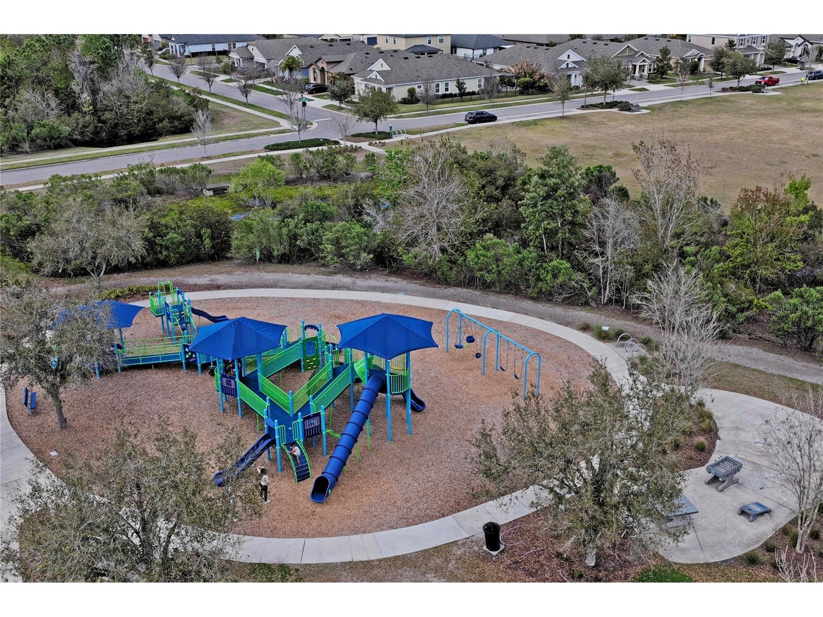 4124 Cadence Loop Land O Lakes FL 34638 W7883614 image54