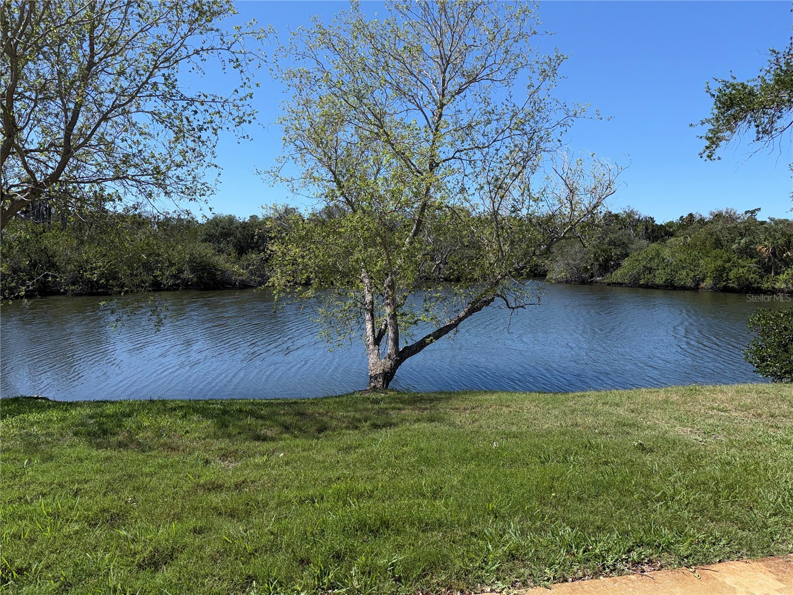 4124 Hampton Drive New Port Richey FL 34652 TB8490159 image12