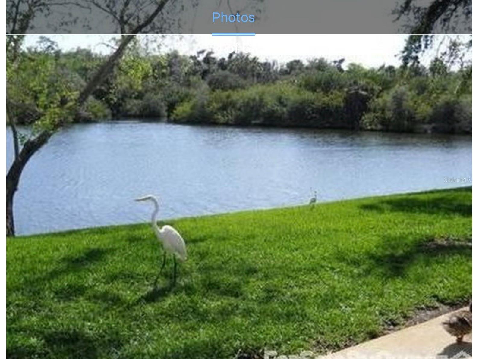 4124 Hampton Drive New Port Richey FL 34652 TB8490159 image14