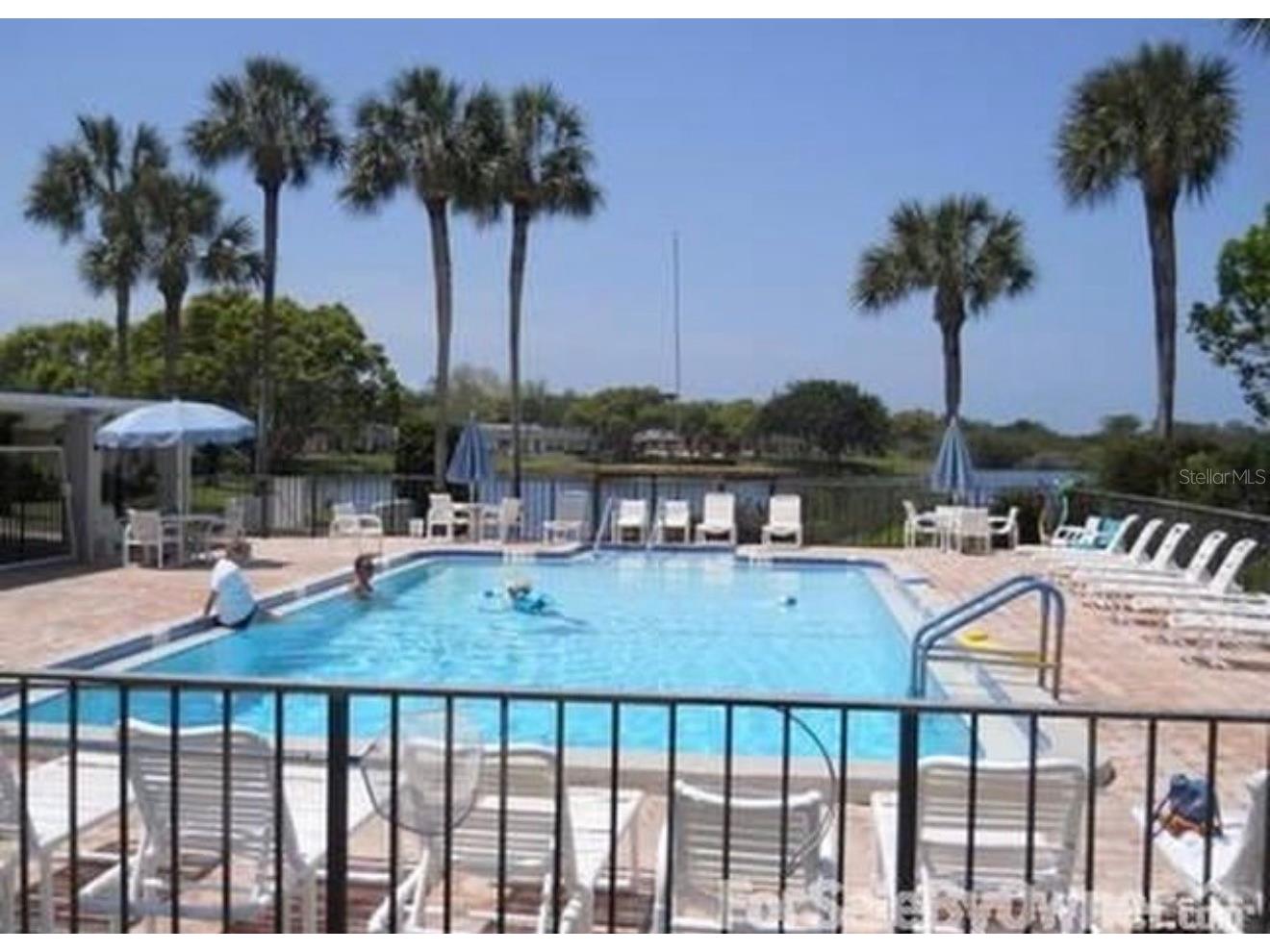 4124 Hampton Drive New Port Richey FL 34652 TB8490159 image15