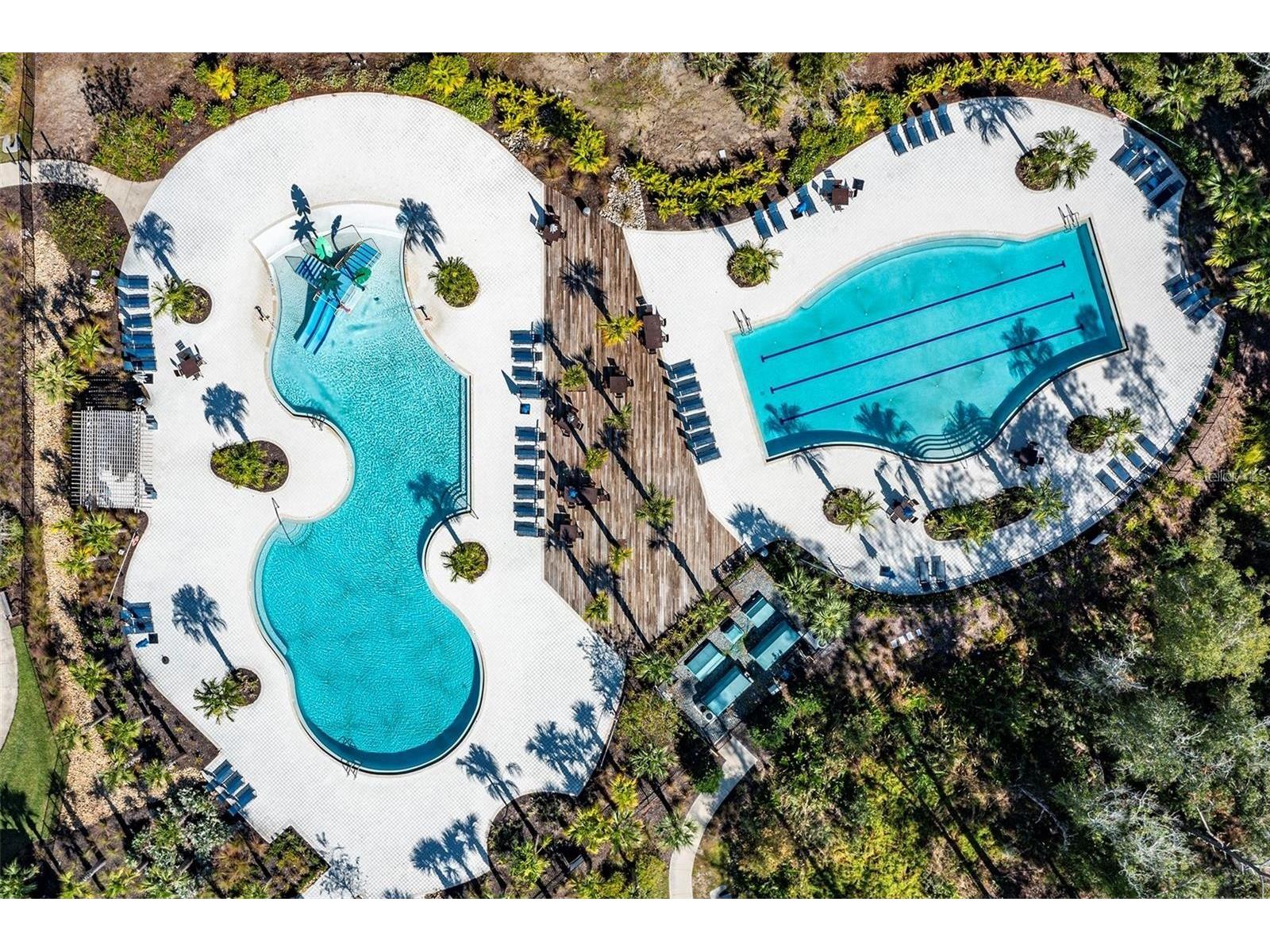 4124 Revival Lane Land O Lakes FL 34638 TB8489633 image2