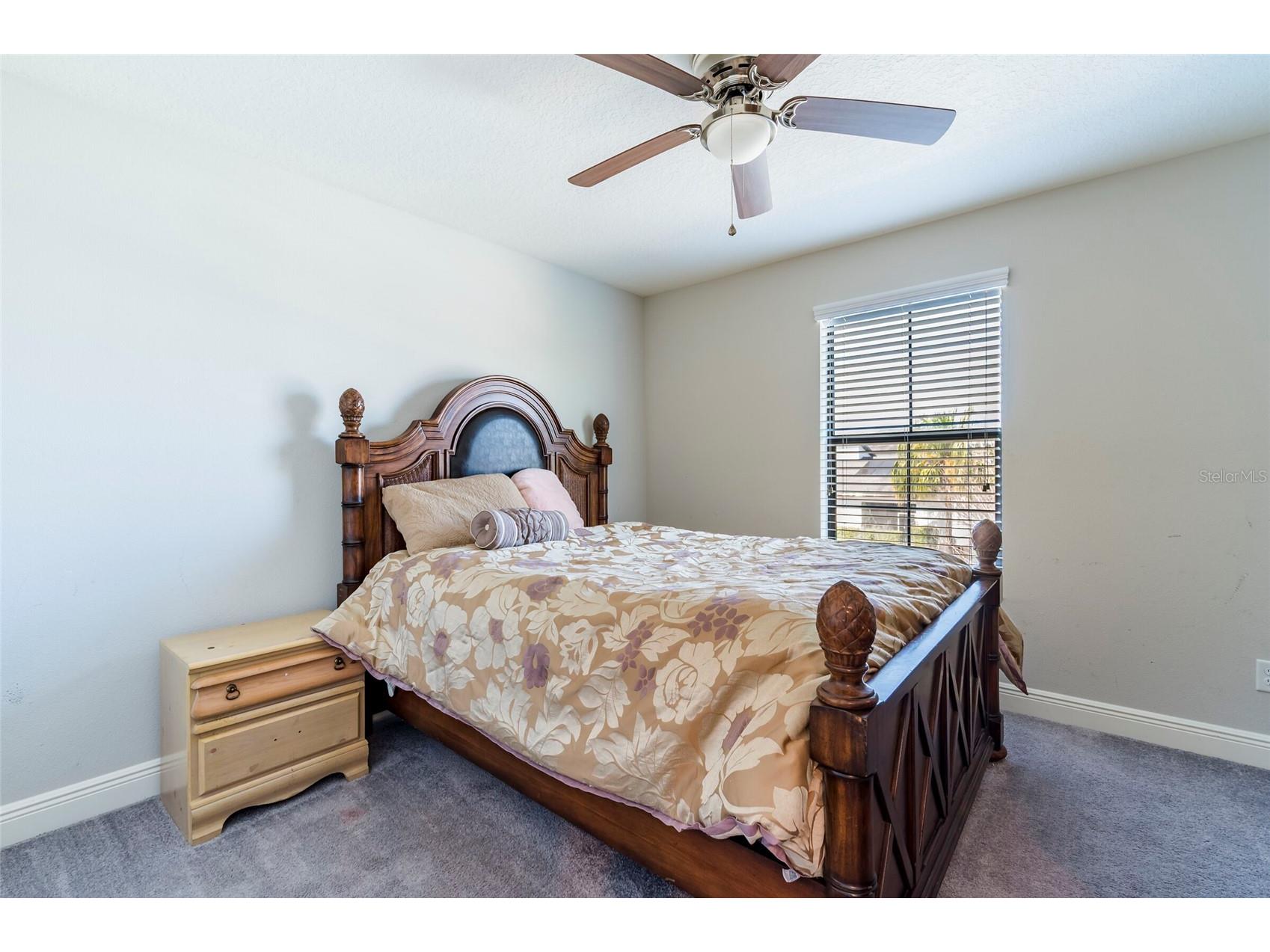 4124 Revival Lane Land O Lakes FL 34638 TB8489633 image31
