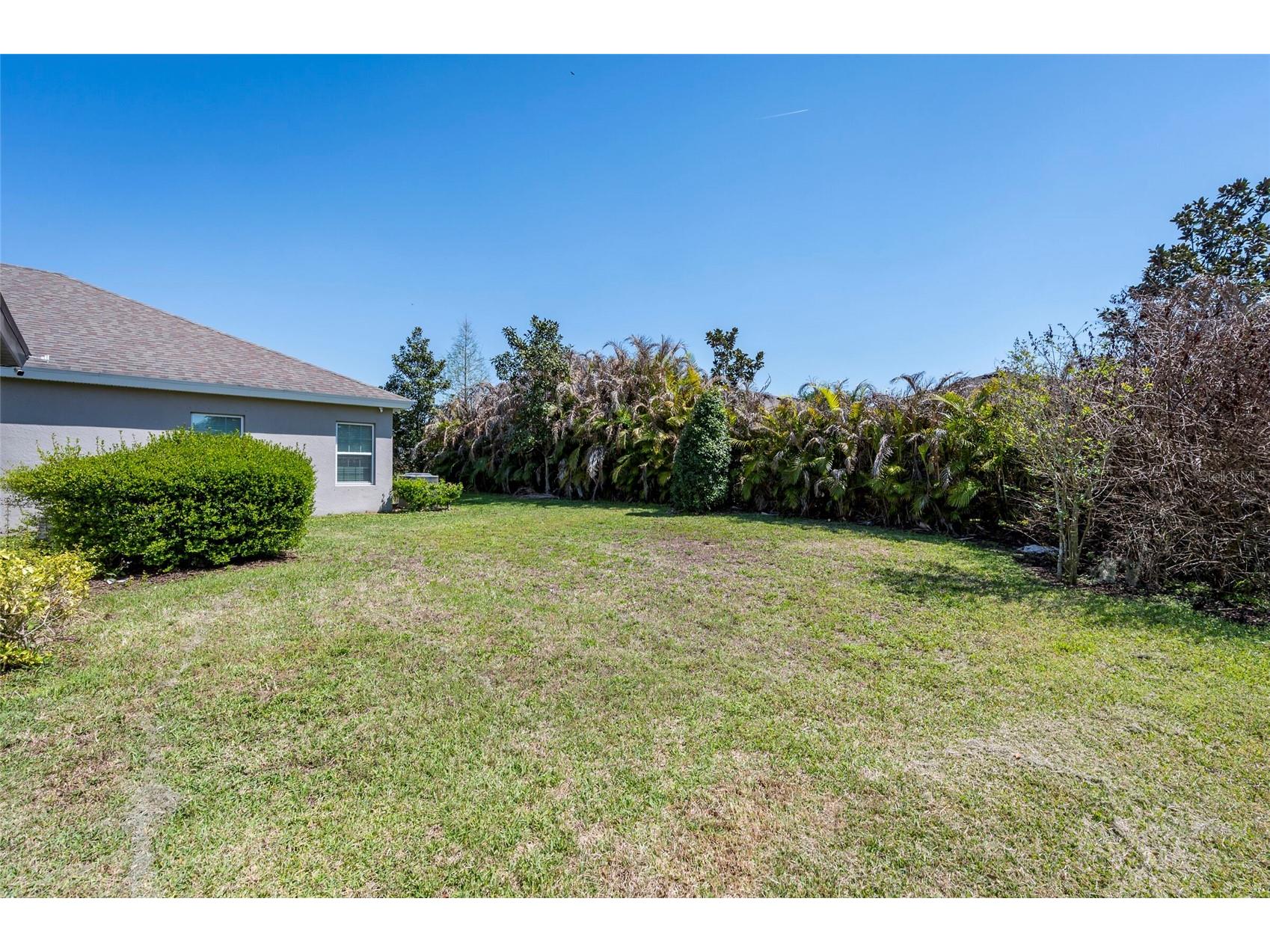 4124 Revival Lane Land O Lakes FL 34638 TB8489633 image36