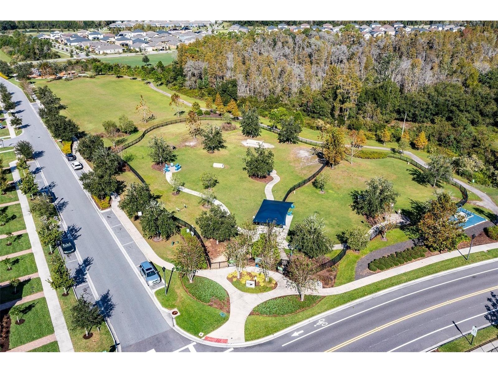 4124 Revival Lane Land O Lakes FL 34638 TB8489633 image42