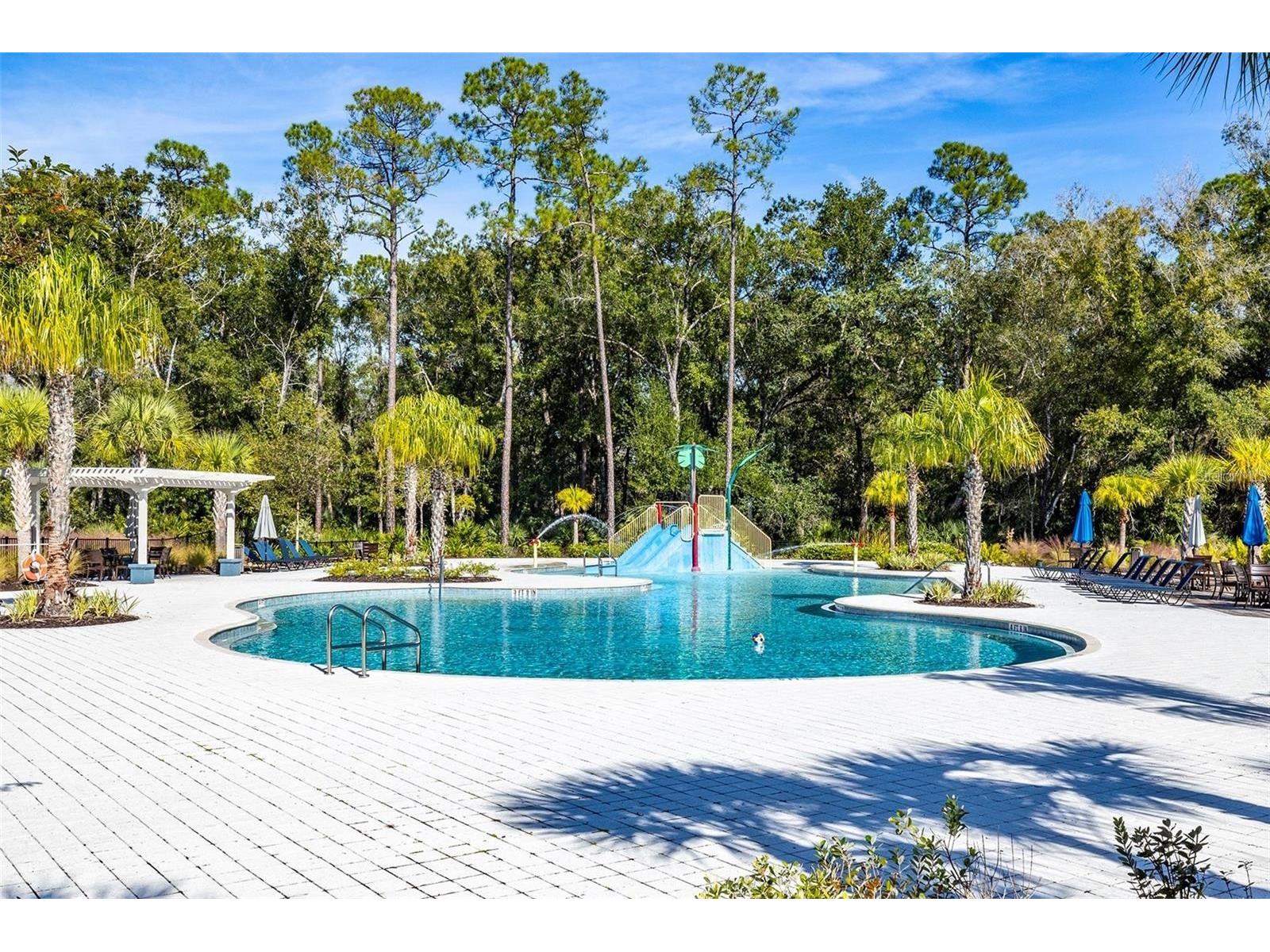 4124 Revival Lane Land O Lakes FL 34638 TB8489633 image44