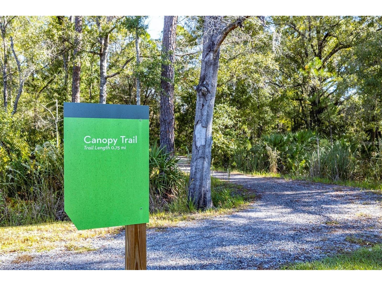 4124 Revival Lane Land O Lakes FL 34638 TB8489633 image45