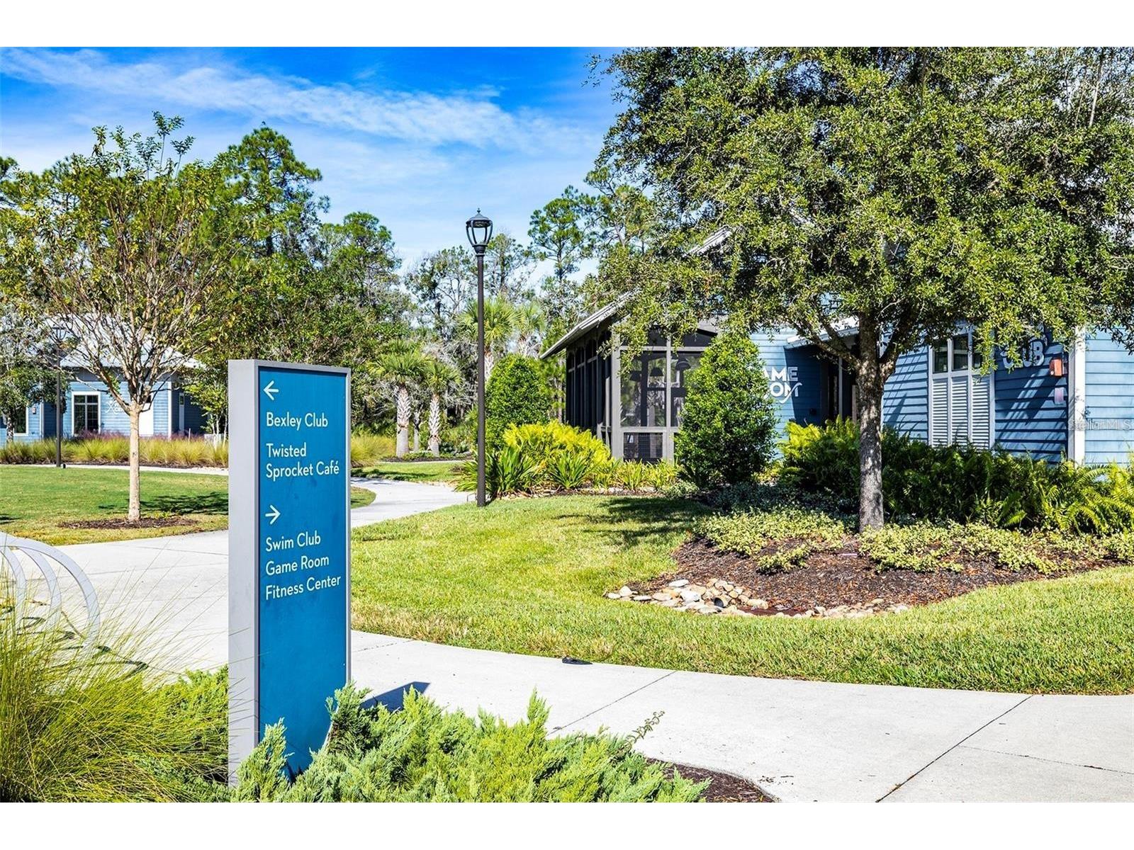 4124 Revival Lane Land O Lakes FL 34638 TB8489633 image46