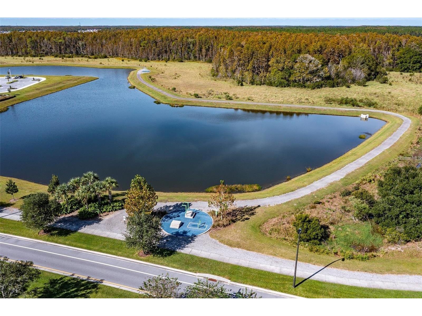 4124 Revival Lane Land O Lakes FL 34638 TB8489633 image50