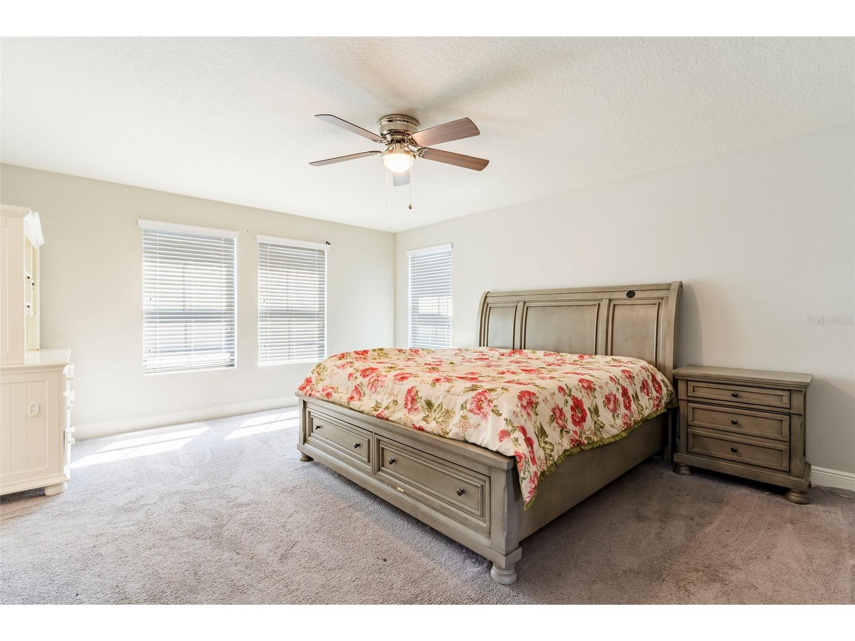 4124 Revival Lane Land O Lakes FL 34638 TB8489633 image6