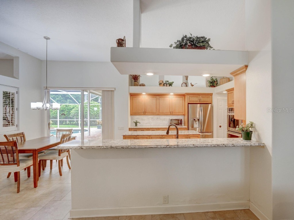 4125 Kirkaldy Drive Palm Harbor FL 34685 TB8424219 image11