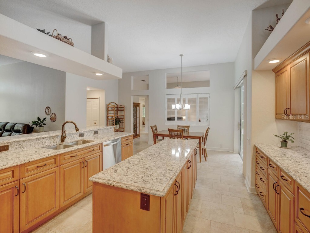 4125 Kirkaldy Drive Palm Harbor FL 34685 TB8424219 image19