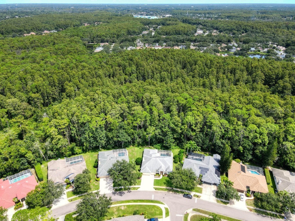 4125 Kirkaldy Drive Palm Harbor FL 34685 TB8424219 image2