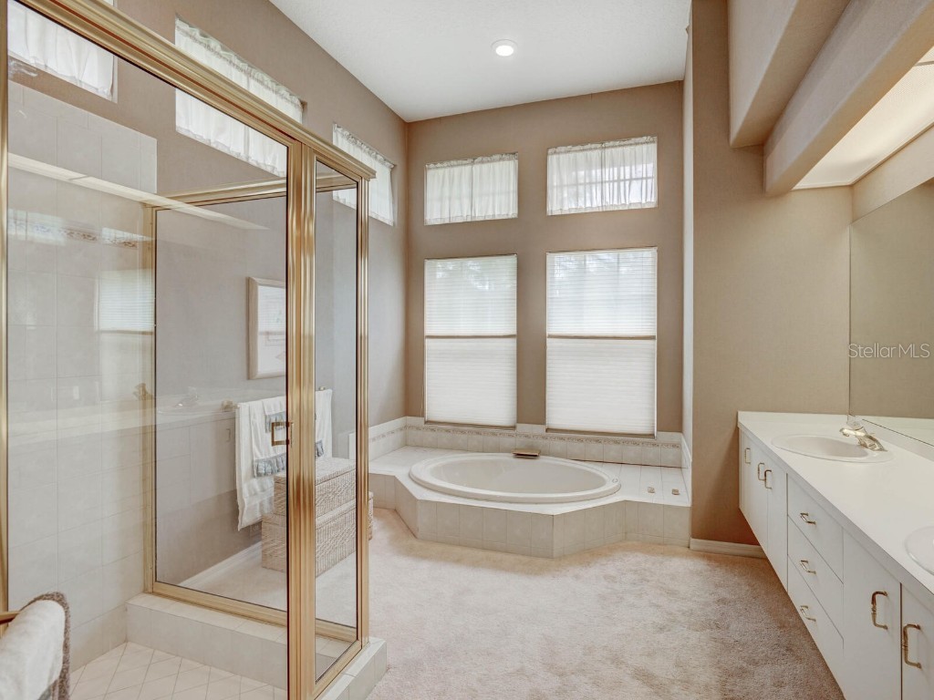 4125 Kirkaldy Drive Palm Harbor FL 34685 TB8424219 image28