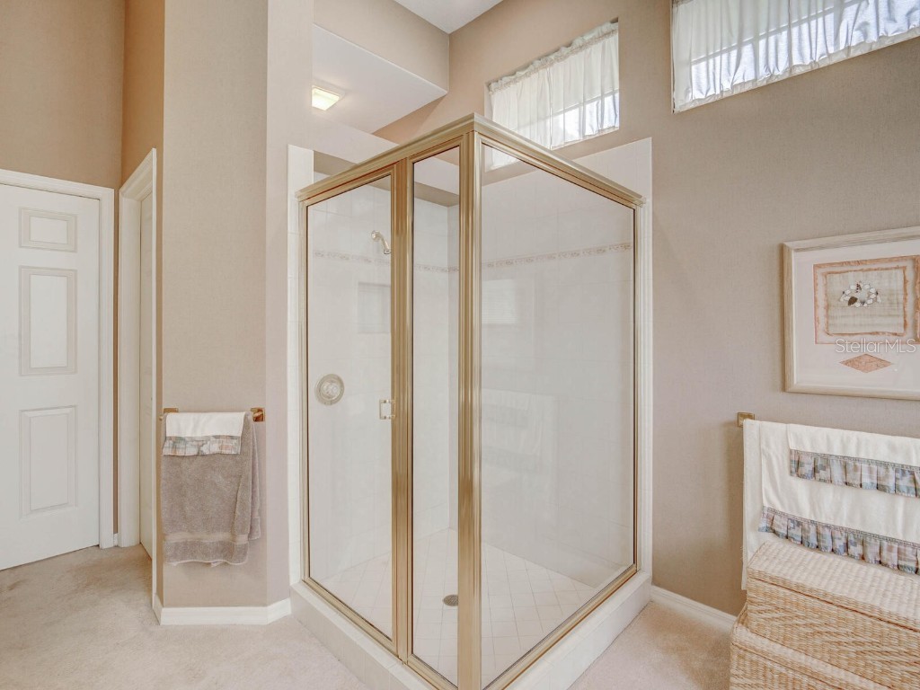 4125 Kirkaldy Drive Palm Harbor FL 34685 TB8424219 image29