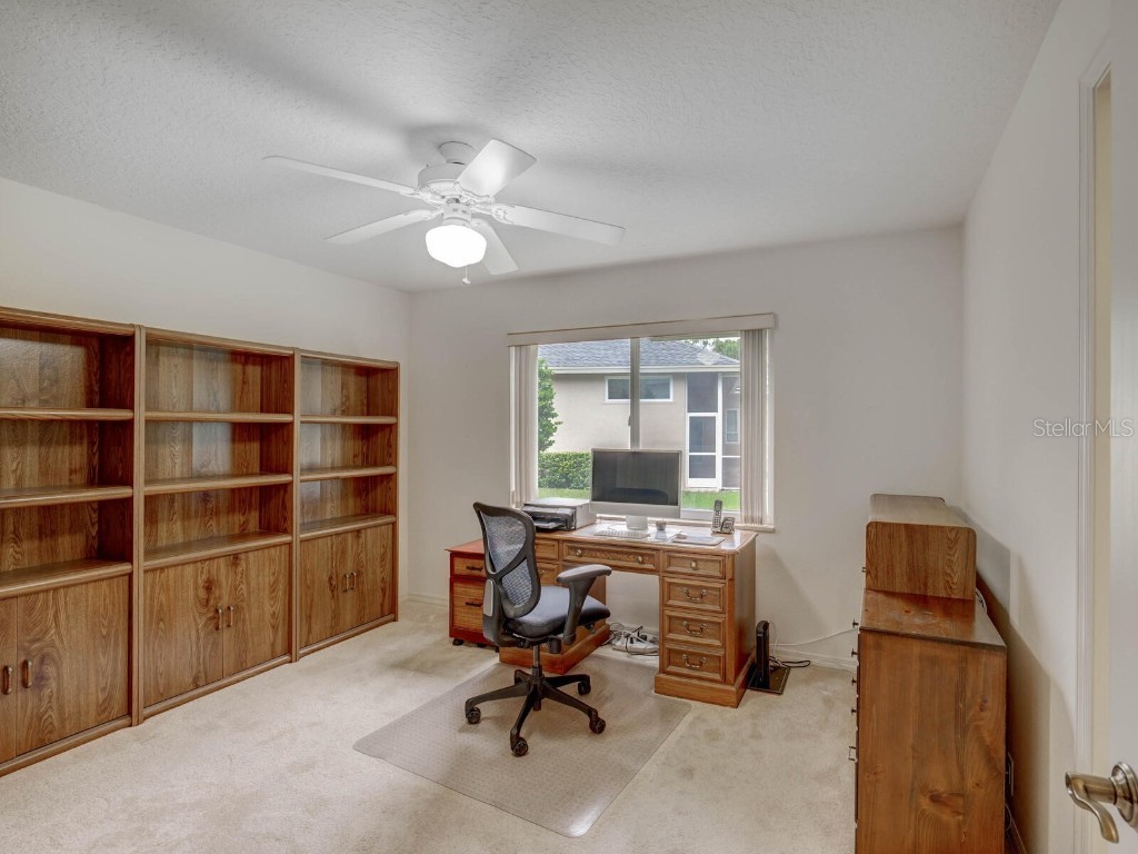 4125 Kirkaldy Drive Palm Harbor FL 34685 TB8424219 image30