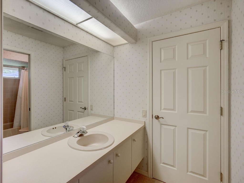 4125 Kirkaldy Drive Palm Harbor FL 34685 TB8424219 image31