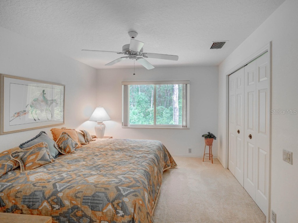 4125 Kirkaldy Drive Palm Harbor FL 34685 TB8424219 image33