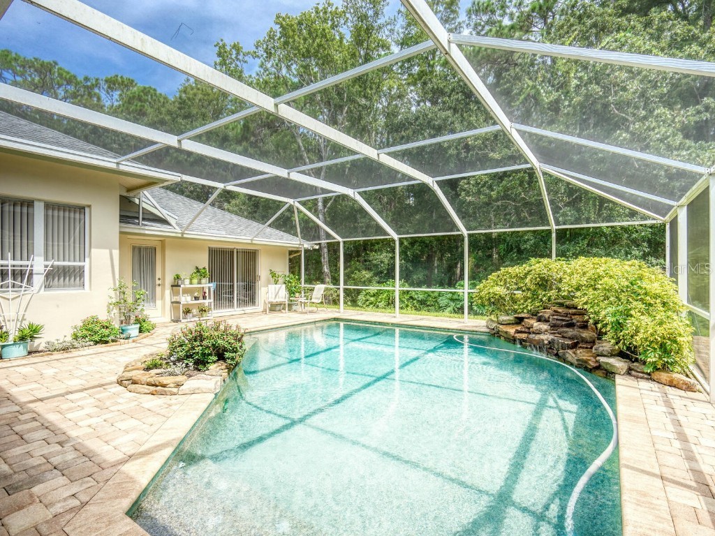 4125 Kirkaldy Drive Palm Harbor FL 34685 TB8424219 image37