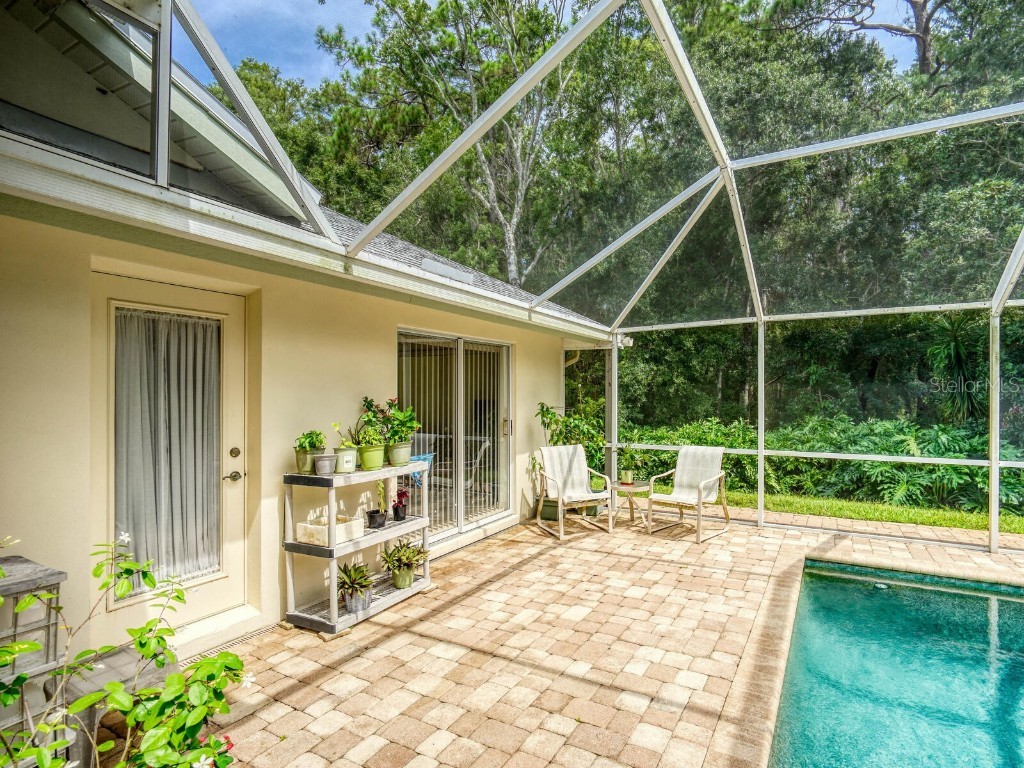 4125 Kirkaldy Drive Palm Harbor FL 34685 TB8424219 image41