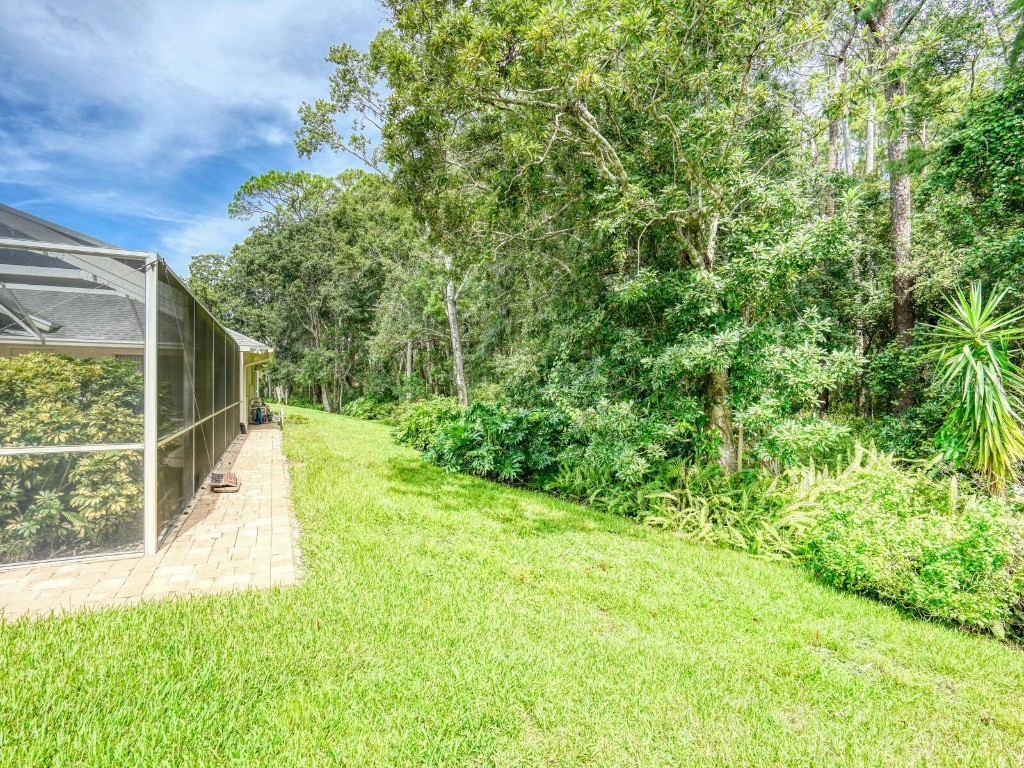 4125 Kirkaldy Drive Palm Harbor FL 34685 TB8424219 image43