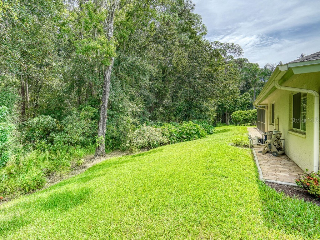 4125 Kirkaldy Drive Palm Harbor FL 34685 TB8424219 image44