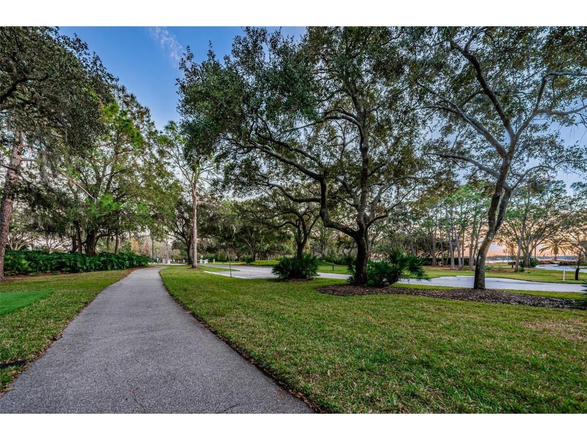 4125 Kirkaldy Drive Palm Harbor FL 34685 TB8424219 image48