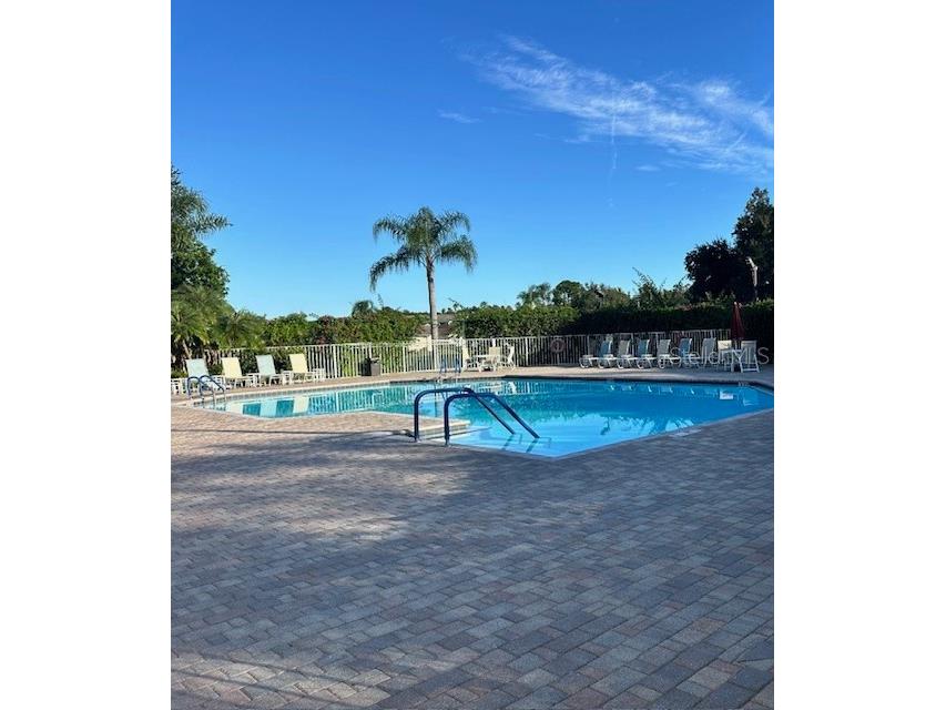 4125 Mc Clung Drive New Port Richey FL 34653 W7876027 image3