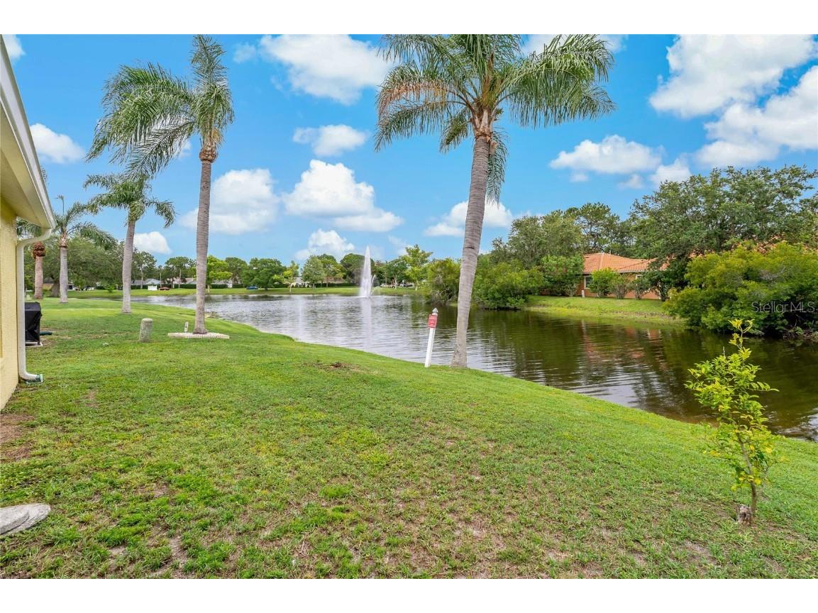 4125 Mc Clung Drive New Port Richey FL 34653 W7876027 image34