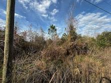 4125 Quail Nest Lane New Smyrna Beach FL 32168 O6389899 image1