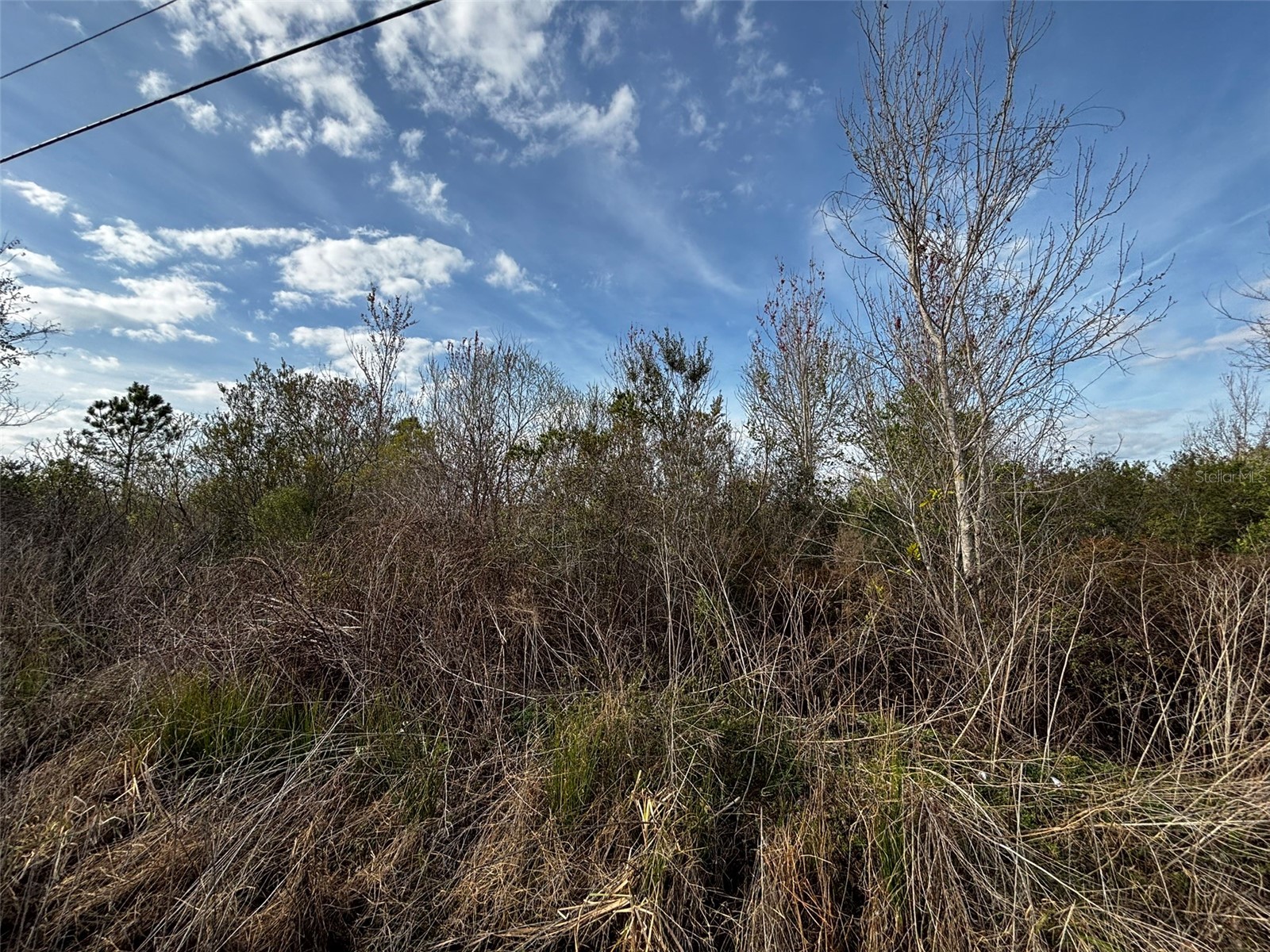 4125 Quail Nest Lane New Smyrna Beach FL 32168 O6389899 image3