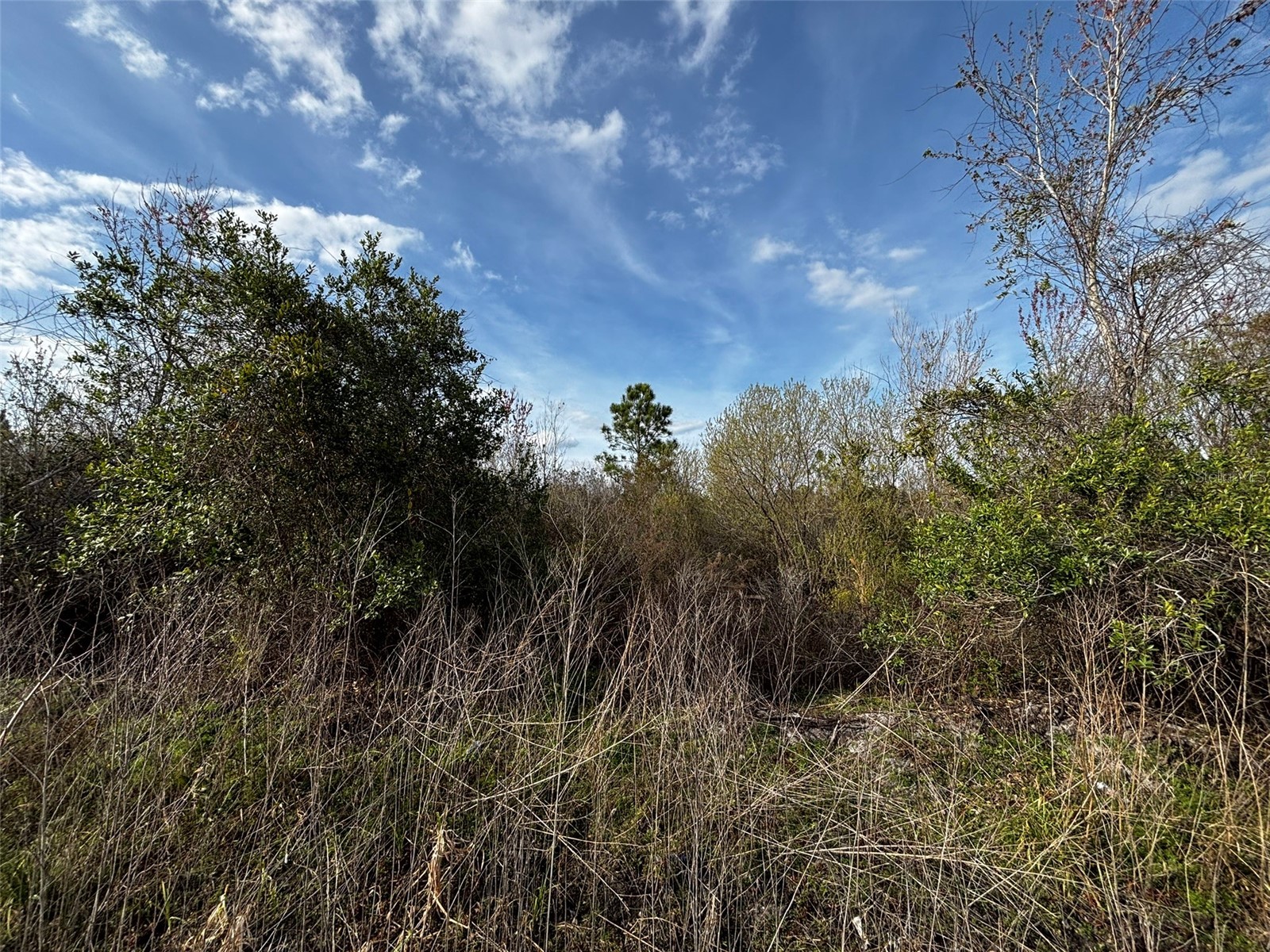 4125 Quail Nest Lane New Smyrna Beach FL 32168 O6389899 image4