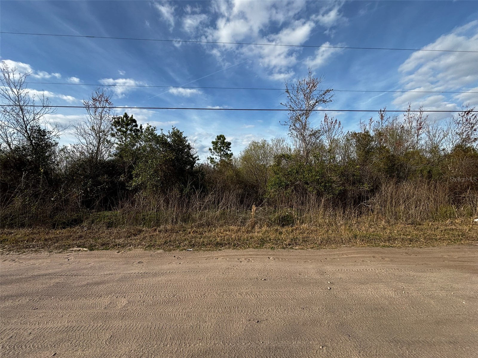 4125 Quail Nest Lane New Smyrna Beach FL 32168 O6389899 image6