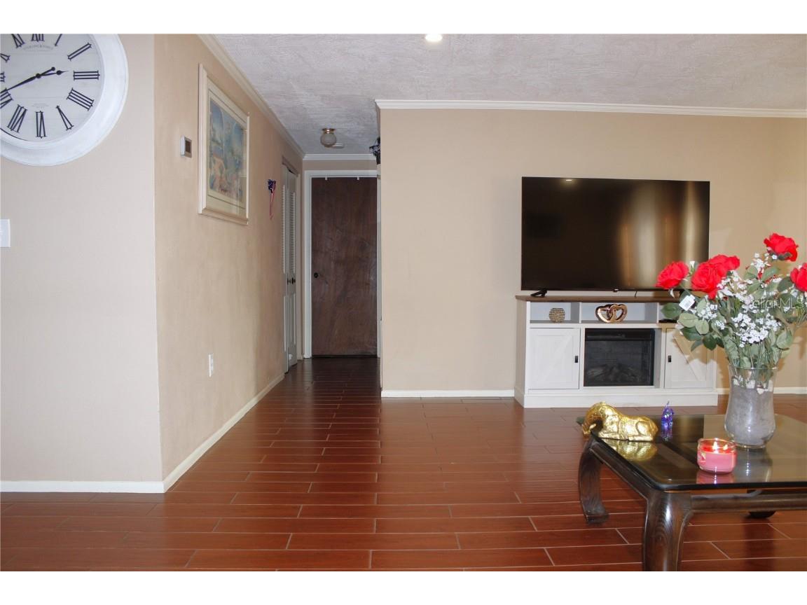 4125 Riverwood Drive New Port Richey FL 34653 TB8423394 image15