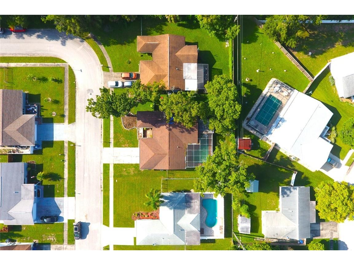 4125 Riverwood Drive New Port Richey FL 34653 TB8423394 image4