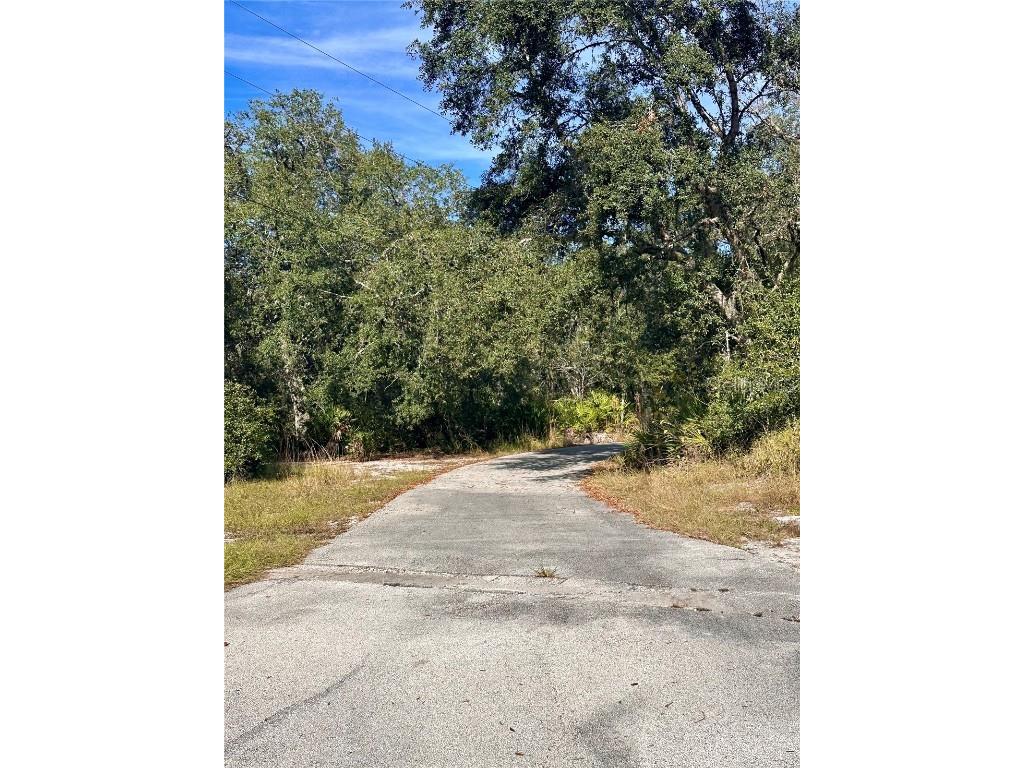 4125 Tiger Creek Trl Lake Wales FL 33898 L4957886 image2