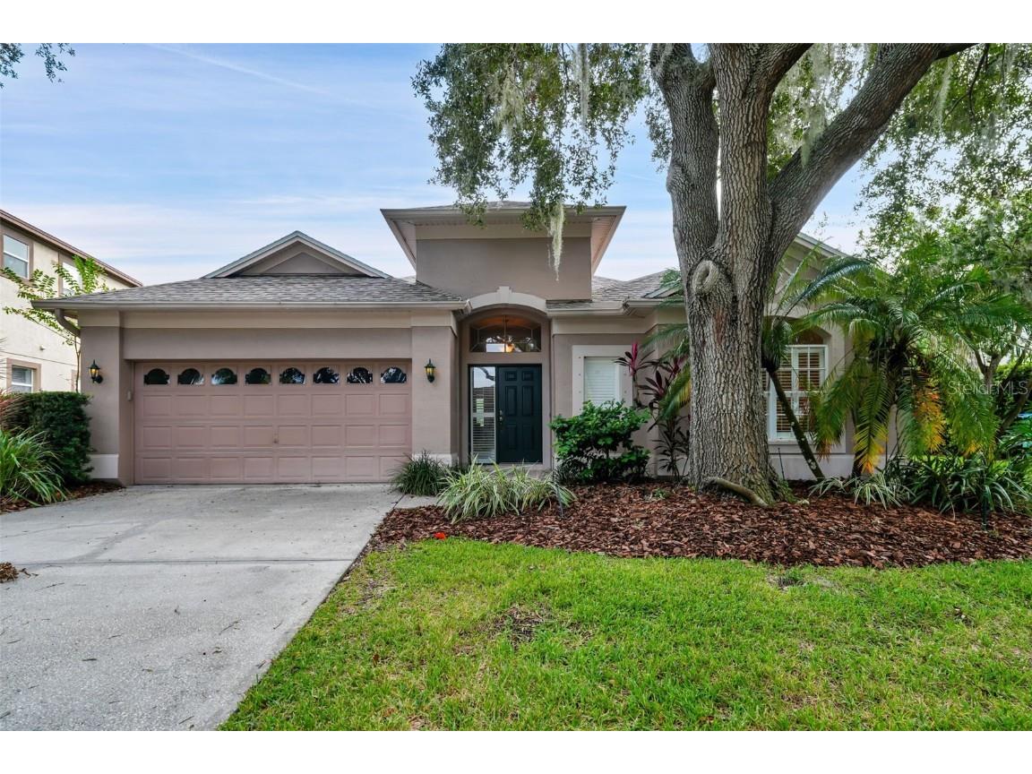 4126 Grandchamp Circle Palm Harbor FL 34685 T3479259 image1