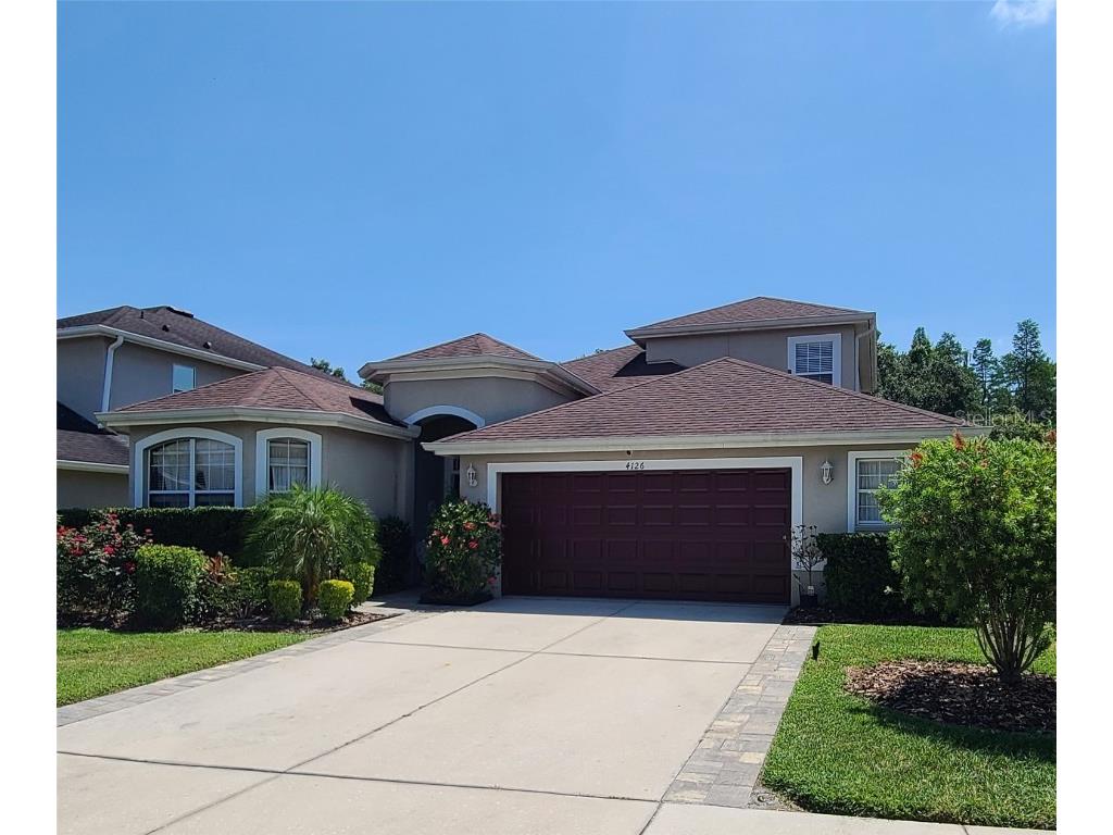 4126 Knollpoint Drive Wesley Chapel FL 33544 T3523734 image1