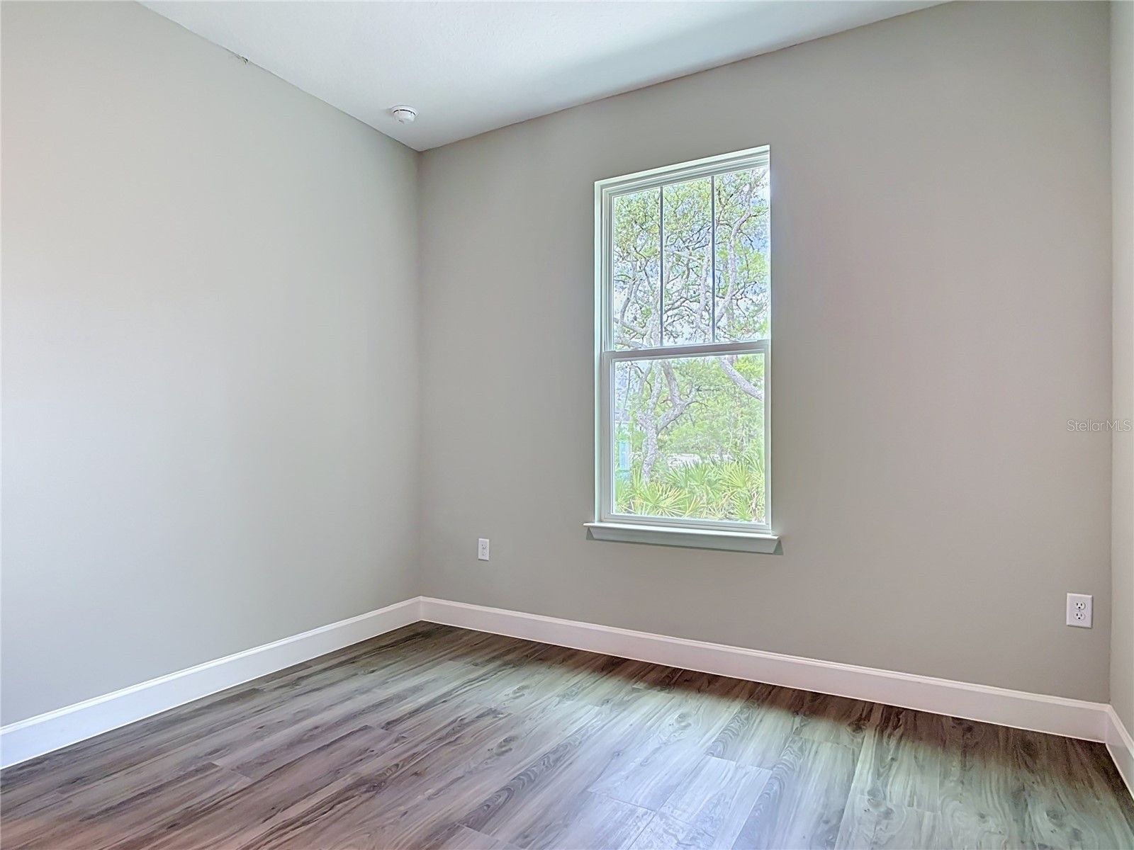 41260 Balsam Street Eustis FL 32736 O6402528 image26