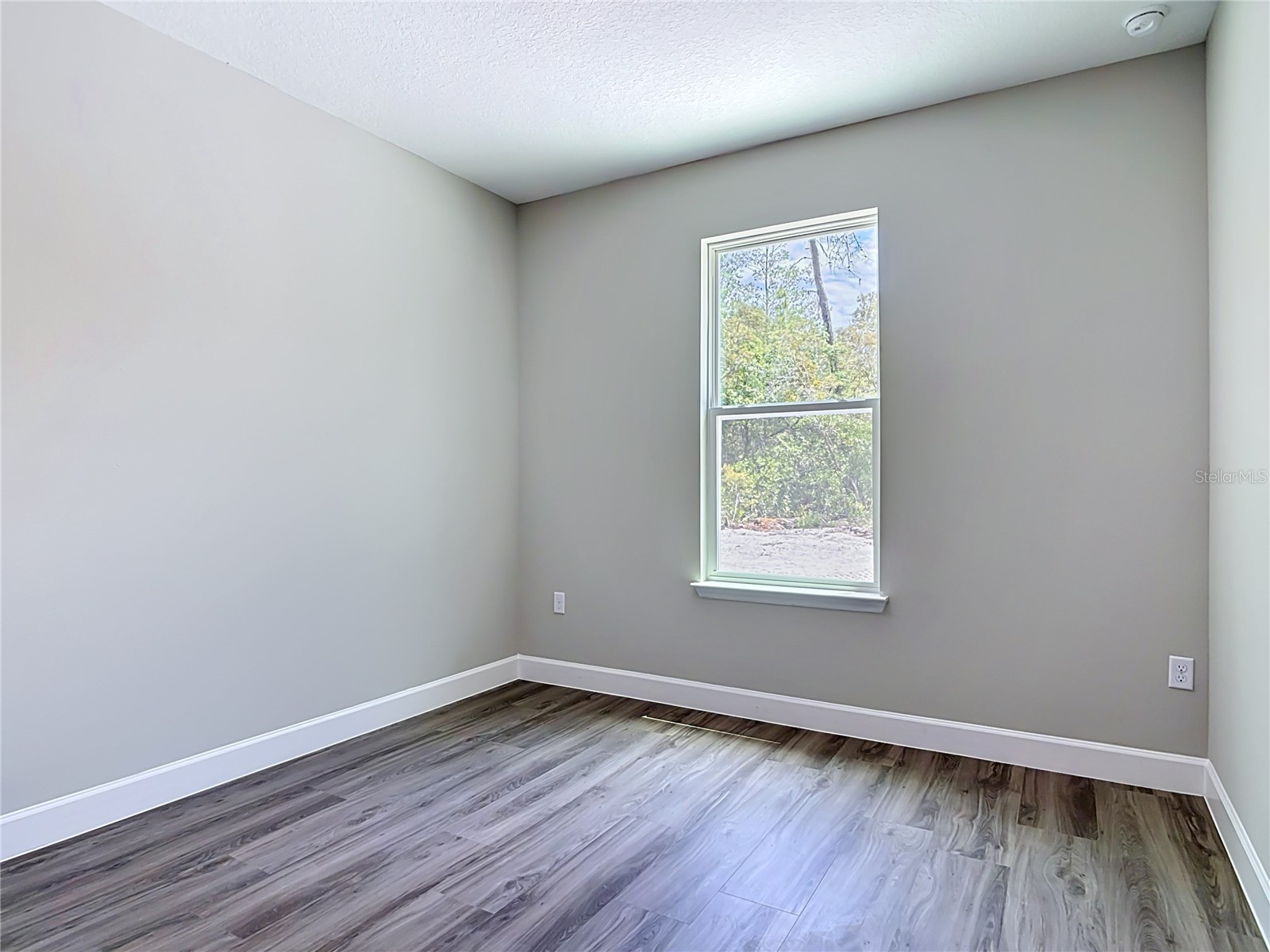 41260 Balsam Street Eustis FL 32736 O6402528 image27